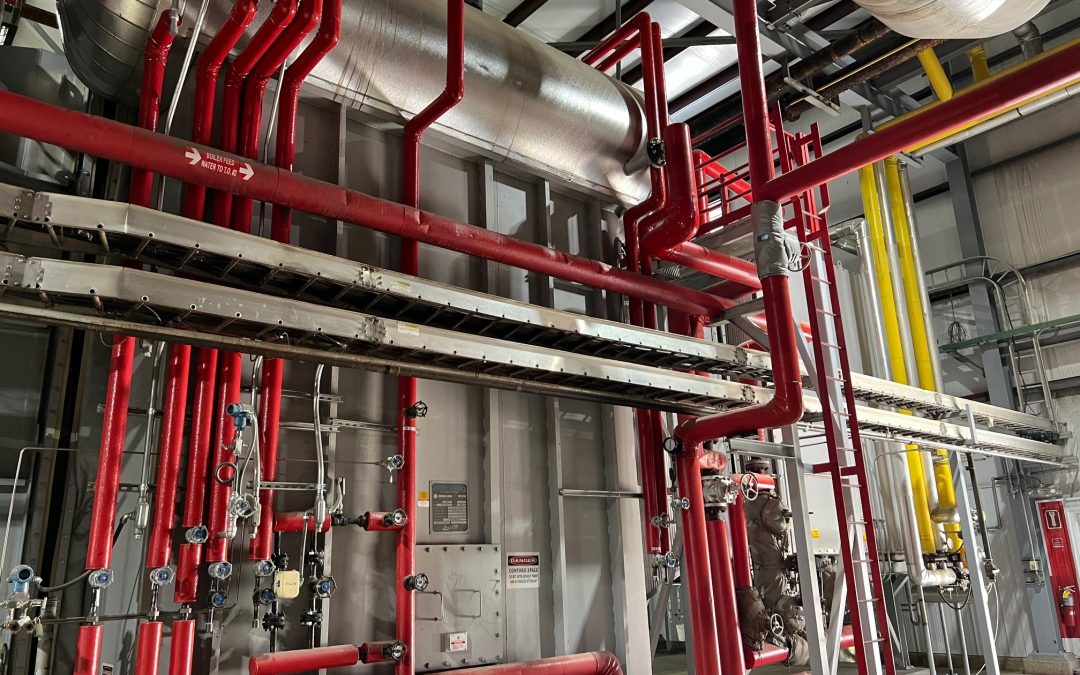 Ethanol and Ethanol Co-Products Plant