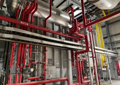 Ethanol and Ethanol Co-Products Plant